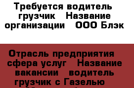 Требуется водитель- грузчик › Название организации ­ ООО Блэк › Отрасль предприятия ­ сфера услуг › Название вакансии ­ водитель-грузчик с Газелью  › Место работы ­ Проспект победы › Подчинение ­ начальству › Минимальный оклад ­ 2 000 › Максимальный оклад ­ 2 000 › Процент ­ 50 › Возраст от ­ 20 › Возраст до ­ 45 - Татарстан респ. Работа » Вакансии   